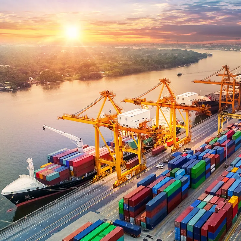 CÔNG TY TNHH THƯƠNG MẠI XUẤT NHẬP KHẨU QUỲNH CHI